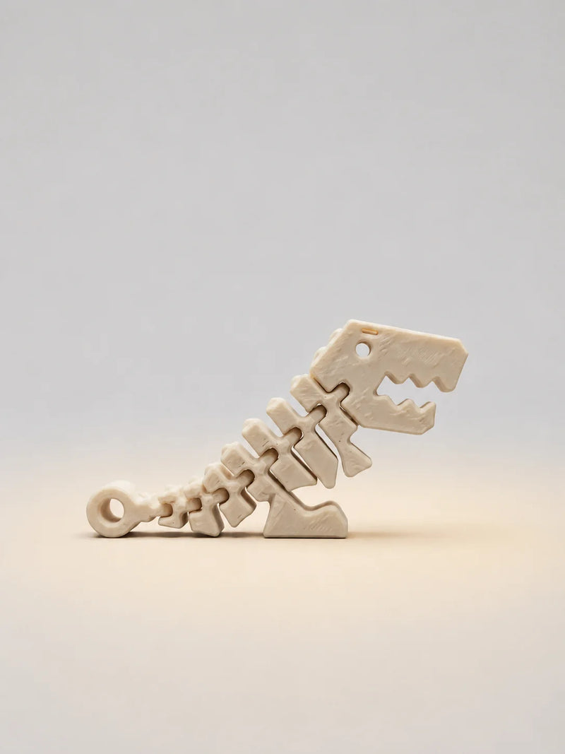 Dinosaur skeleton model on a light gray background